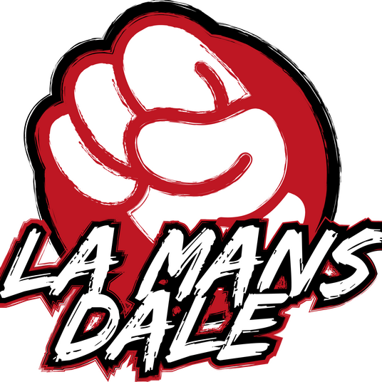 La Mans Dale, première association e-sportive de Vs Fighting du Mans